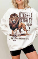 Yeshua lion of Judah 73832 DTF transfer