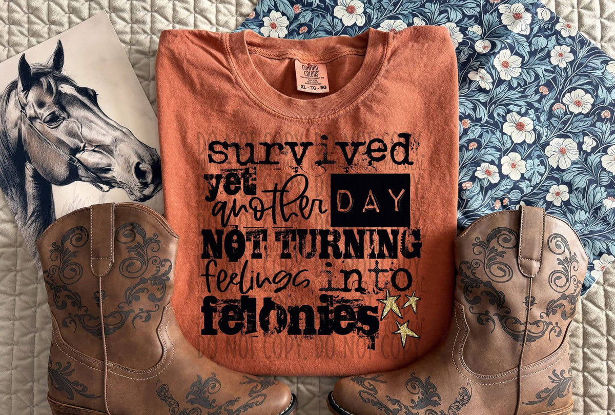 Feelings into felonies (black) (SWD) DTF Transfer