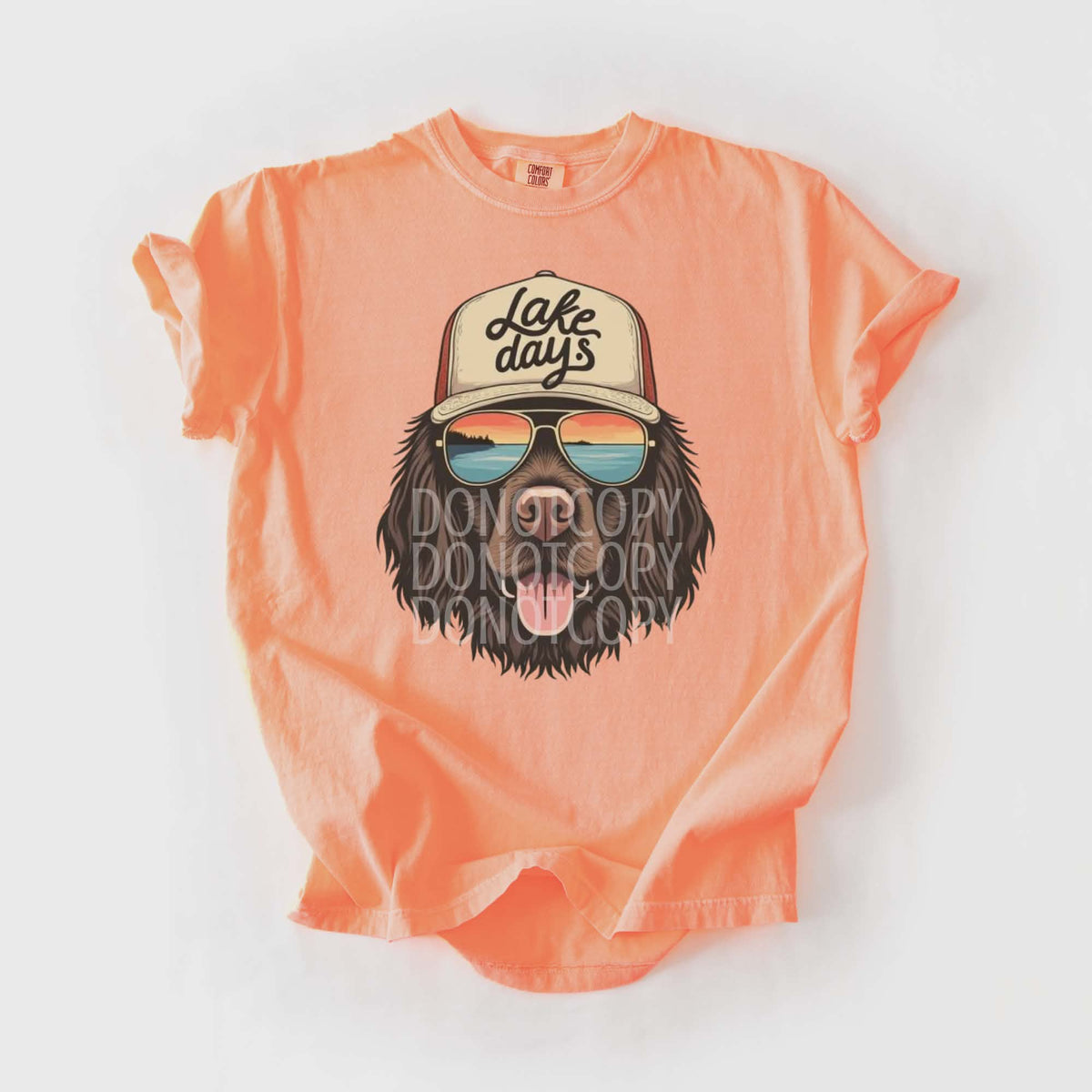 Lake Days dog with hat (CSG) DTF Transfer