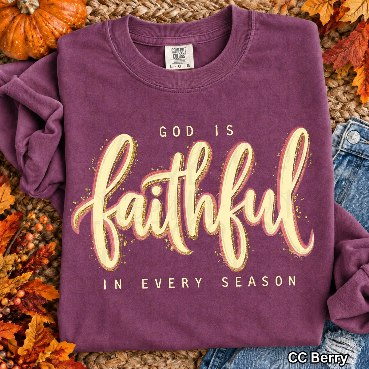 God is faithful in every season Sunday Special DTF transfer