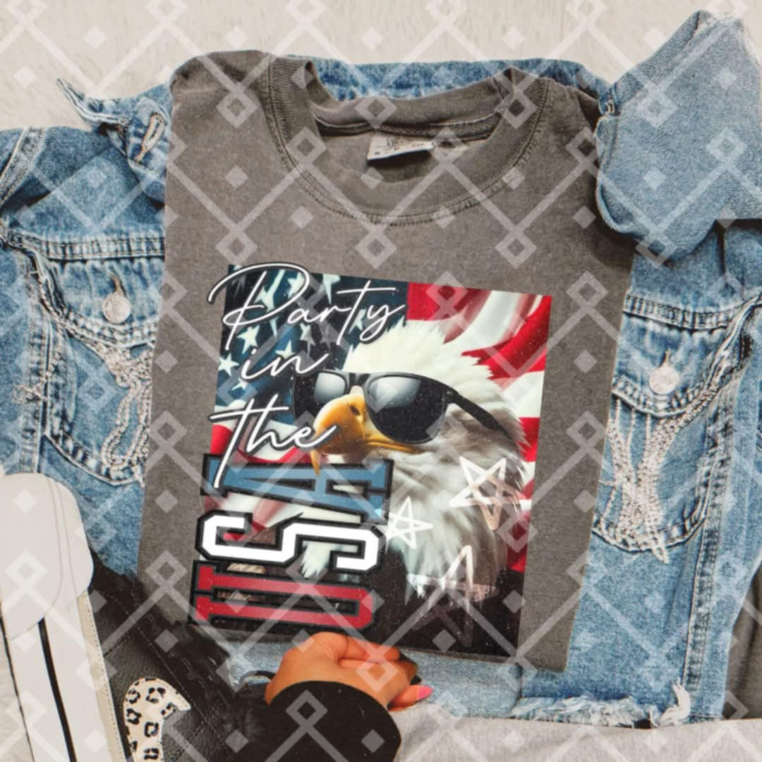 Party in the USA Eagle (Crafti) 106399 DTF transfer