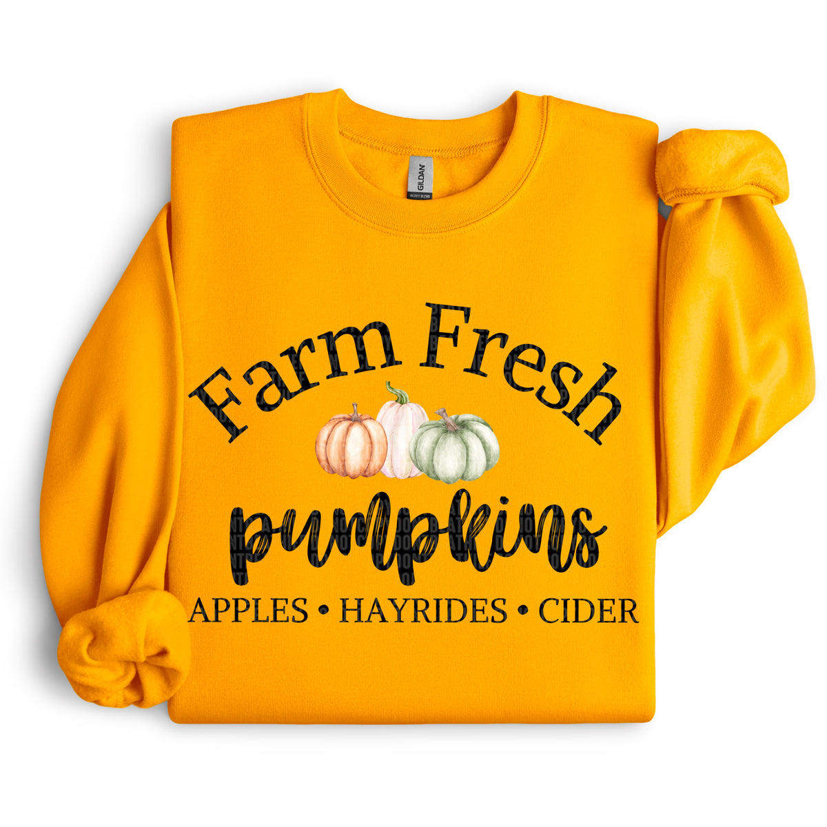 Farm fresh pumpkins DTF transfer