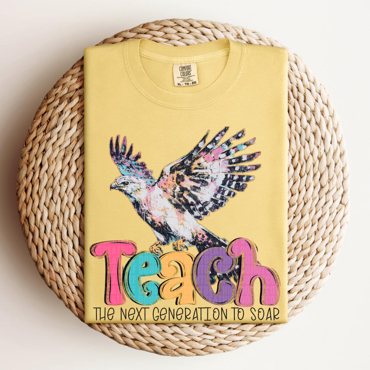 Teach the next generation to soar (SDD) 106538 DTF transfer