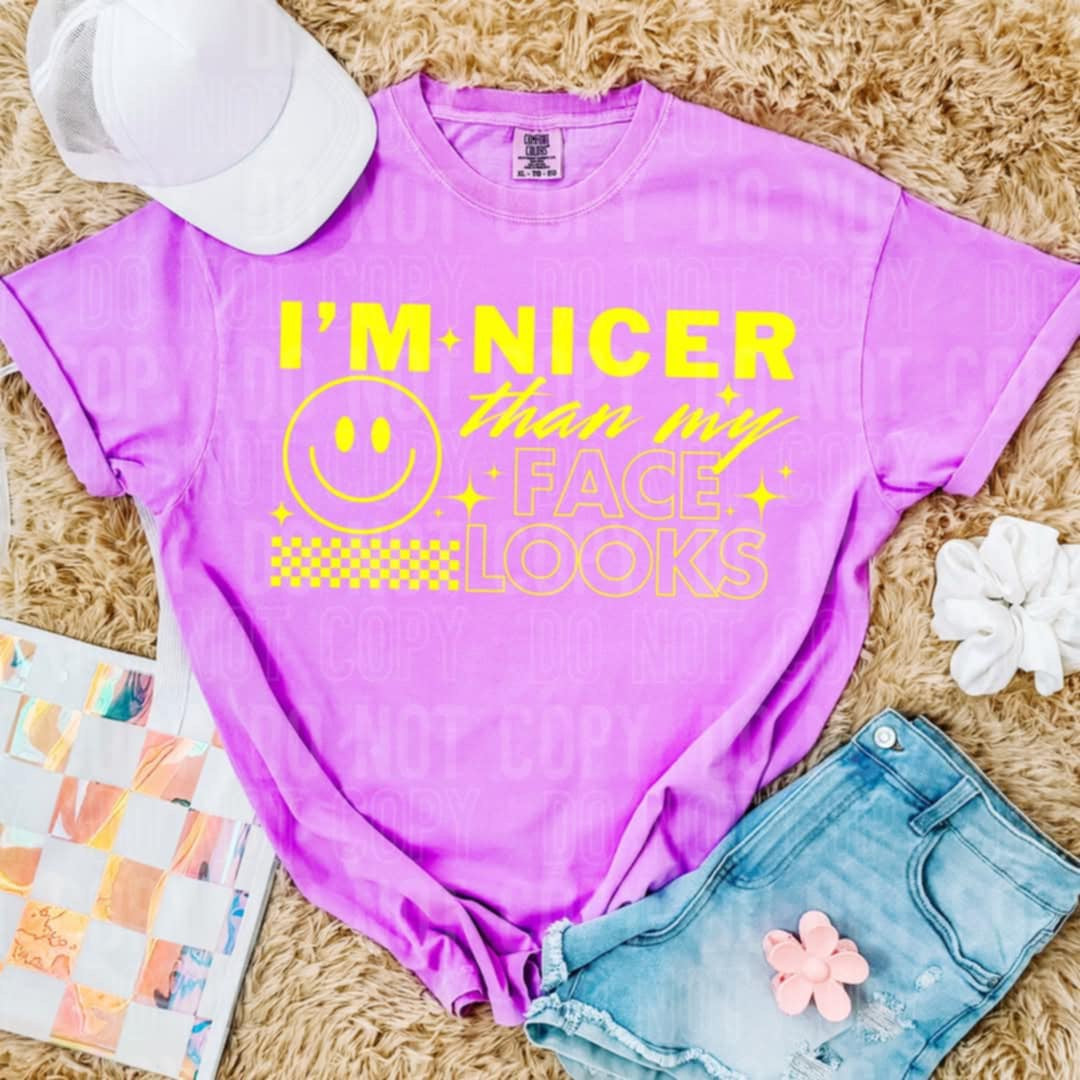 I’m nicer than my face looks (SBB) 99846 DTF transfer