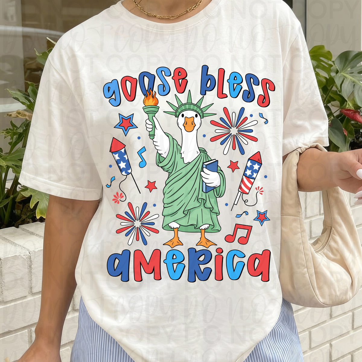Goose Bless America Sunday Special DTF transfer