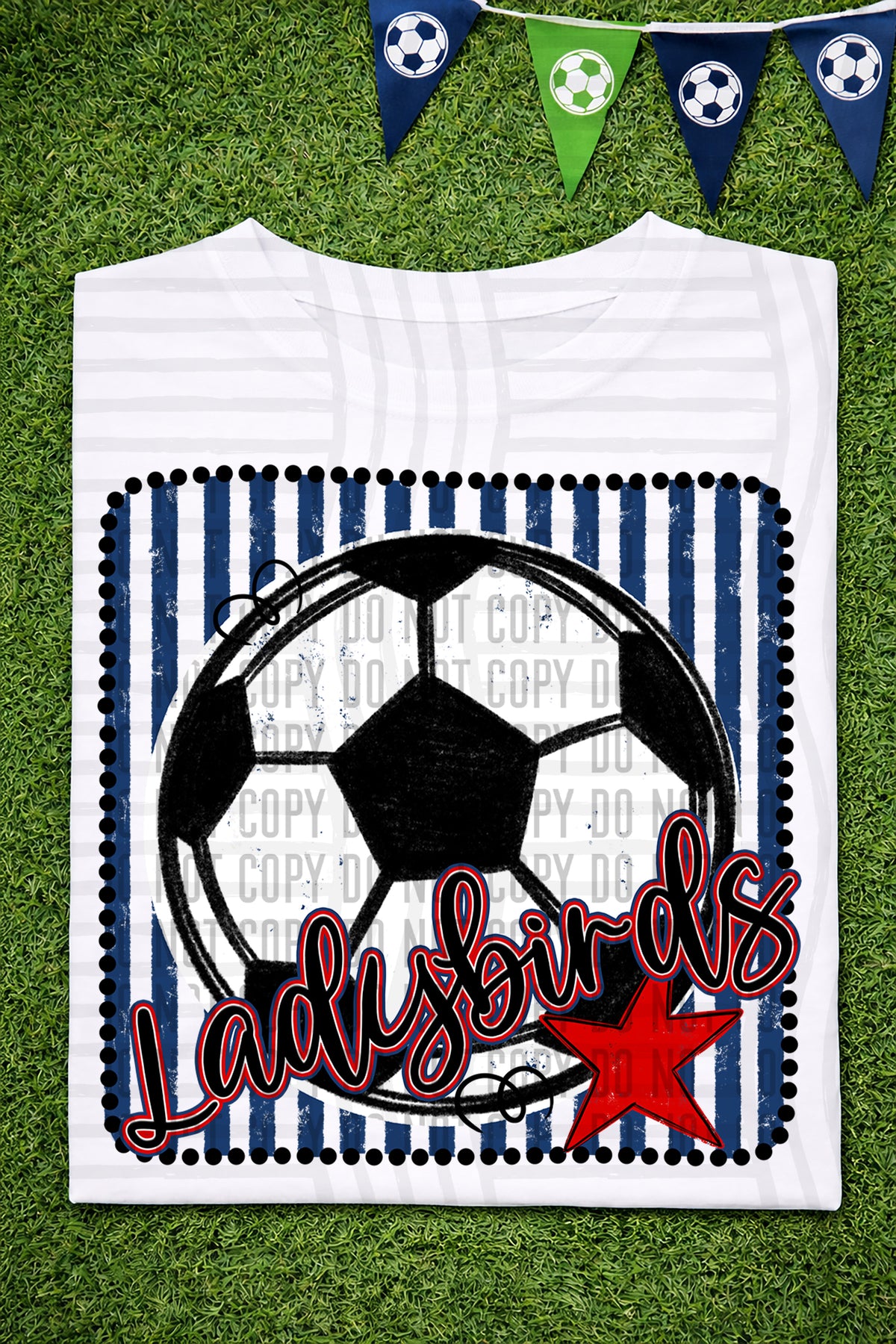 Ladybirds RWB Framed (Caplinger) DTF transfer