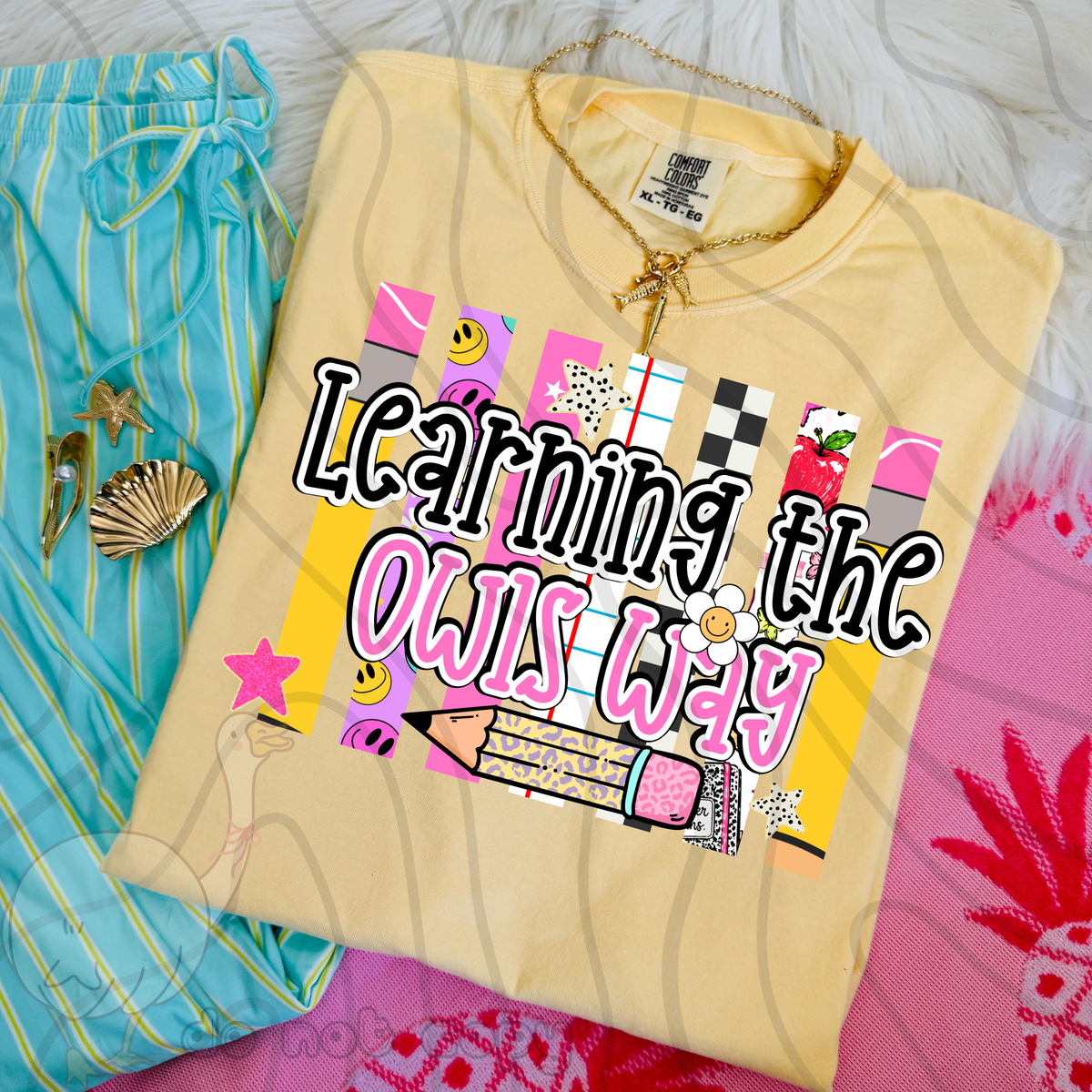 Learning the owls way school stripes (DKD) DTF Transfer