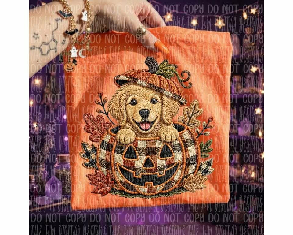 Brown lab in pumpkin (J&M) DTF transfer
