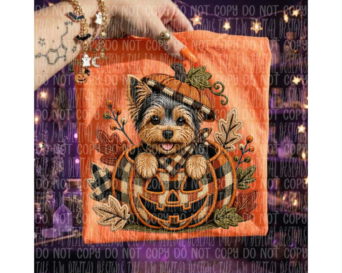 Yorkie in pumpkin (J&M) DTF transfer