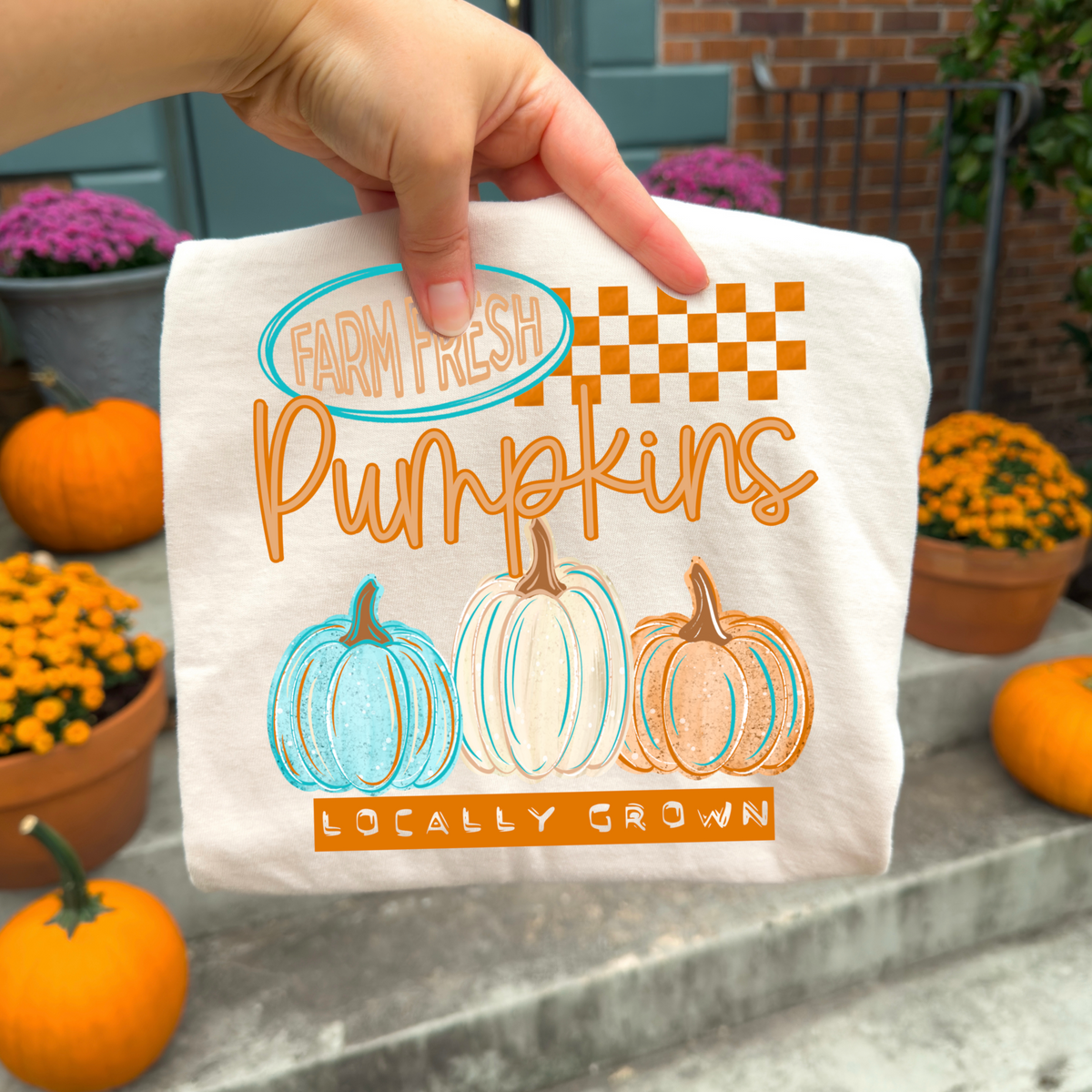 Farm fresh pumpkins (blue and orange) (CSC) DTF Transfer