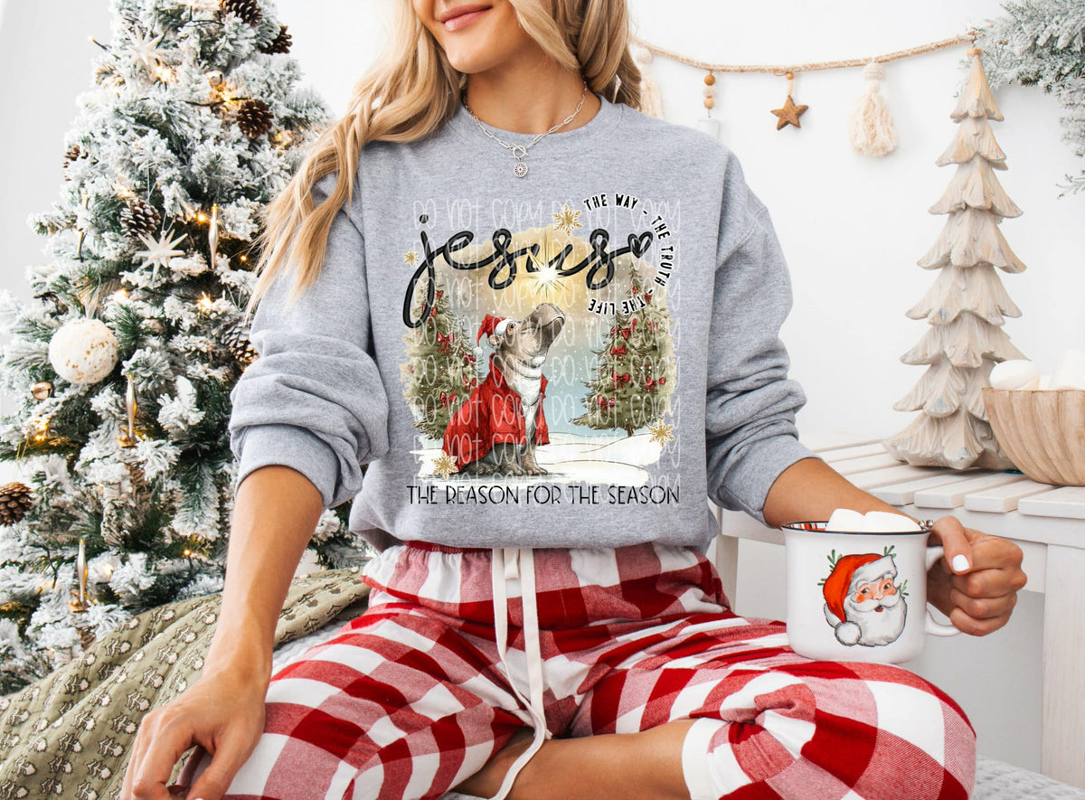 Jesus the reason for the season Hippo (SSD) DTF transfer