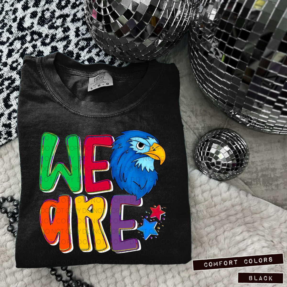 We are falcons blue (Caplinger) 100894 DTF transfer