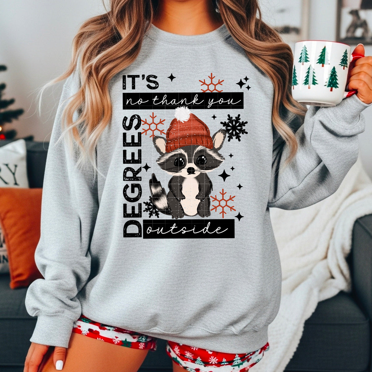 No Thank You Degrees outside raccoon (CSC) DTF transfer