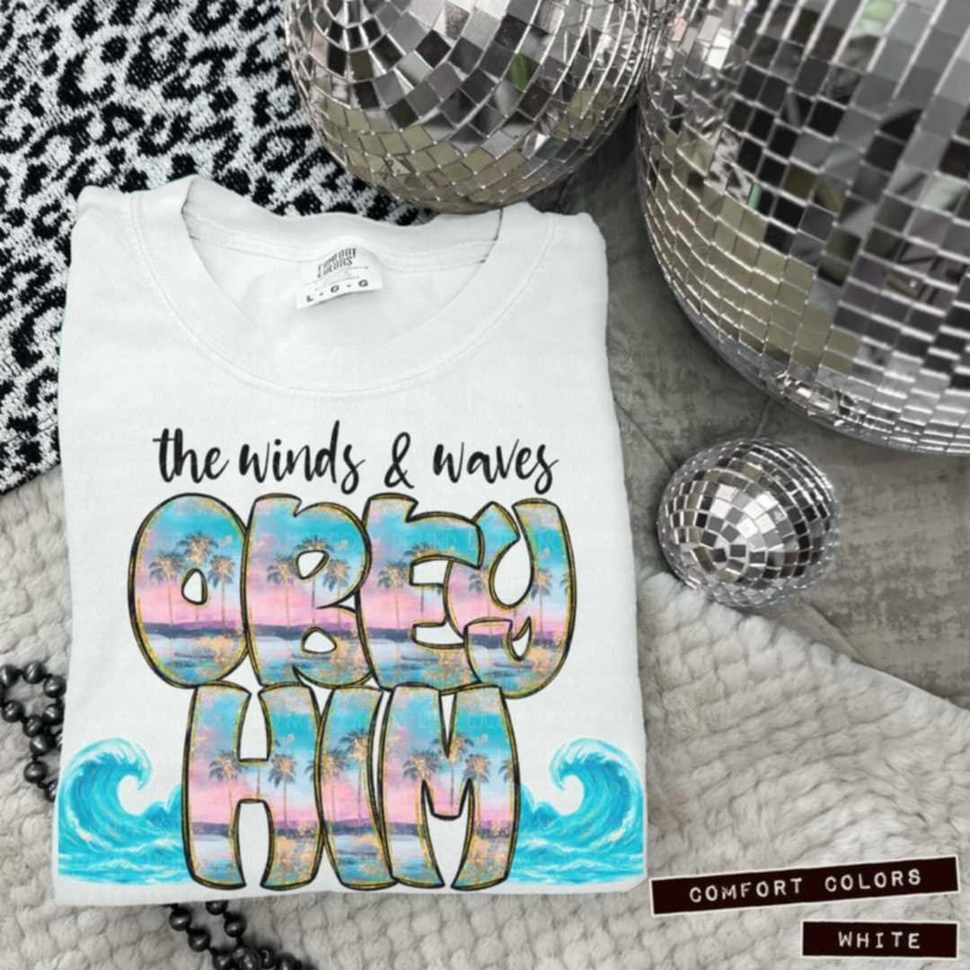 The winds & waves obey him (Vehement) 99148 DTF transfer