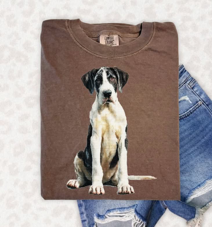 Needlepoint Great Dane (s&g) DTF Transfer