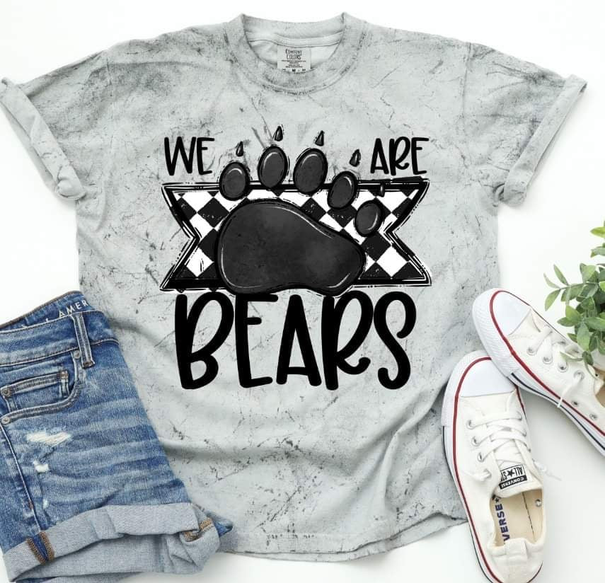 We are Bears 30671 DTF transfers