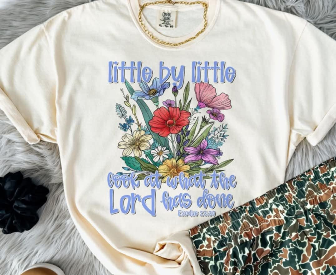 Little by little look at what the lord has done (S&G) 98784 DTF transfer