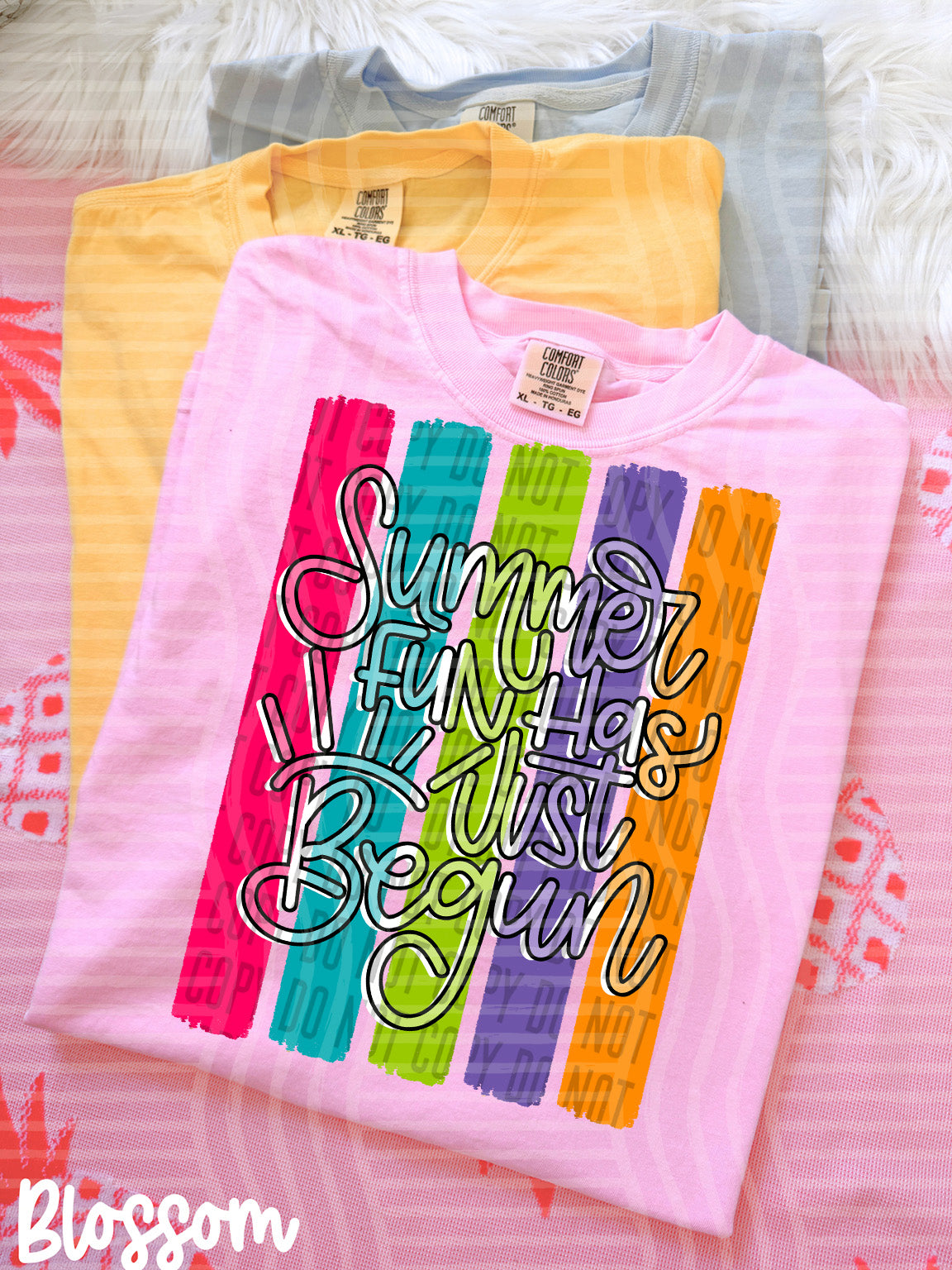 summer fun has just begun striped background (caplinger) DTF transfer