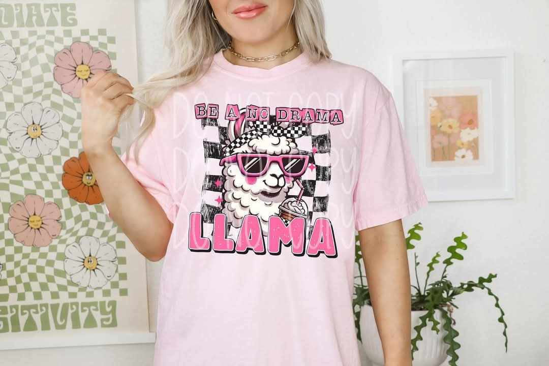 Be a no drama llama (PH) 75143 DTF transfer