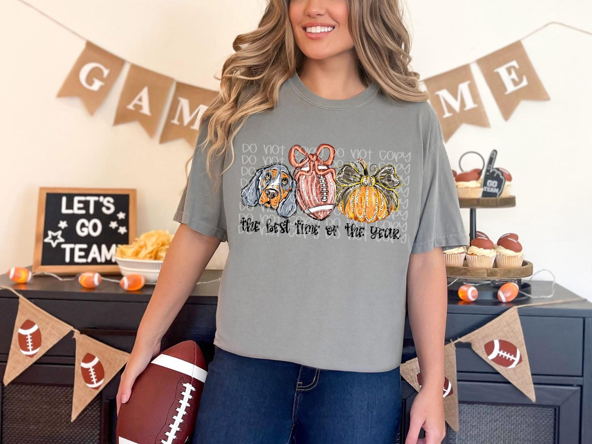 Best Time Of The Year beagle football pumpkin SSD DTF transfer