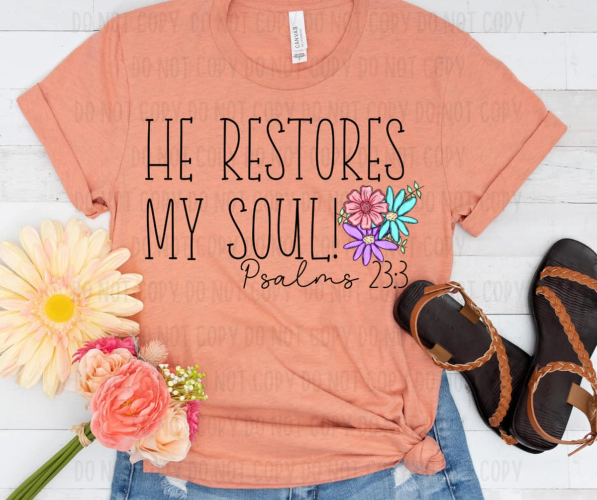 He restores my soul (canvista) 91869 DTF transfer