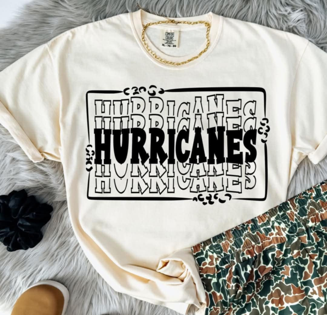 Hurricanes stacked with frame (S&G) 98075 DTF transfer