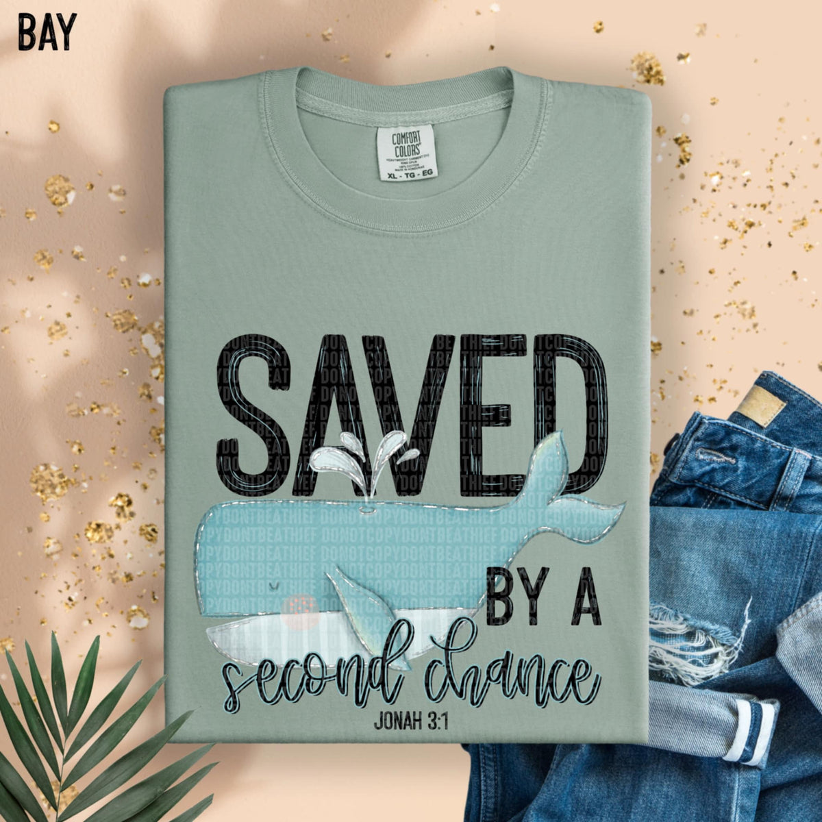Saved by a second chance whale (SDD) 95648 DTF transfer