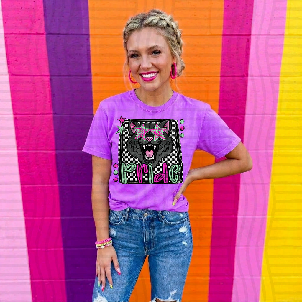 wildcats_ pride preppy checkered square colorful (Caplinger) DTF Transfer