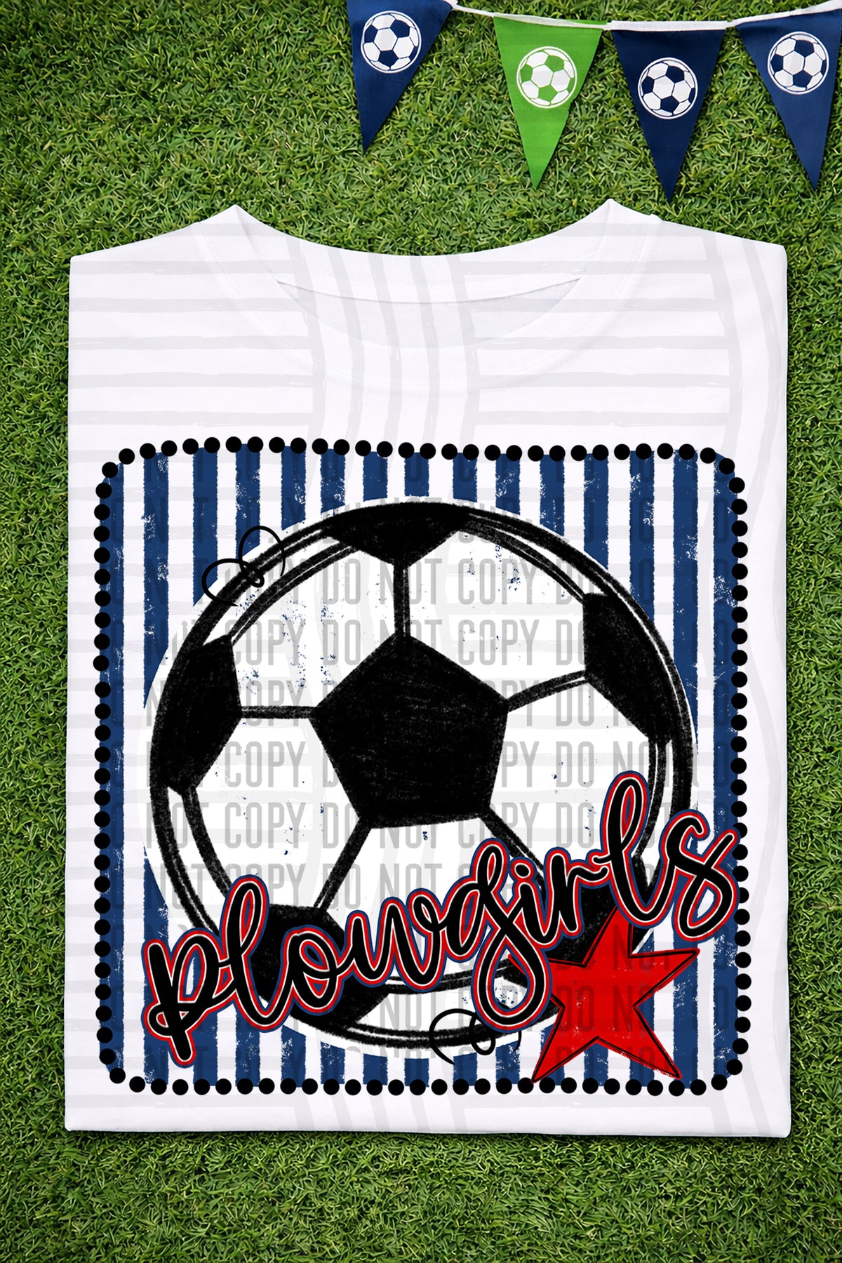 Plowgirls RWB Framed (Caplinger) DTF transfer