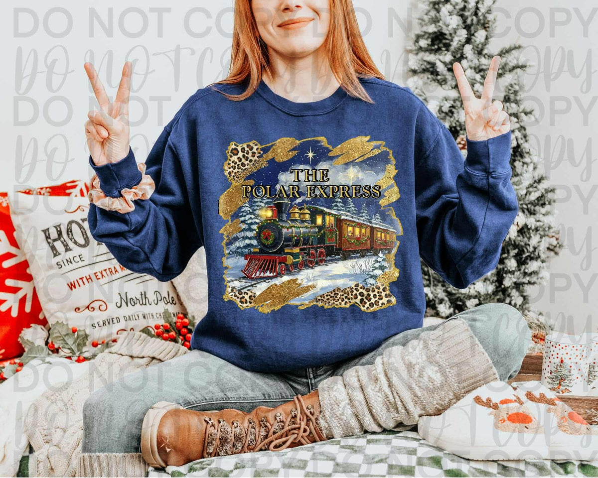 Christmas Train Express (sweet starlight) 114538 DTF transfer