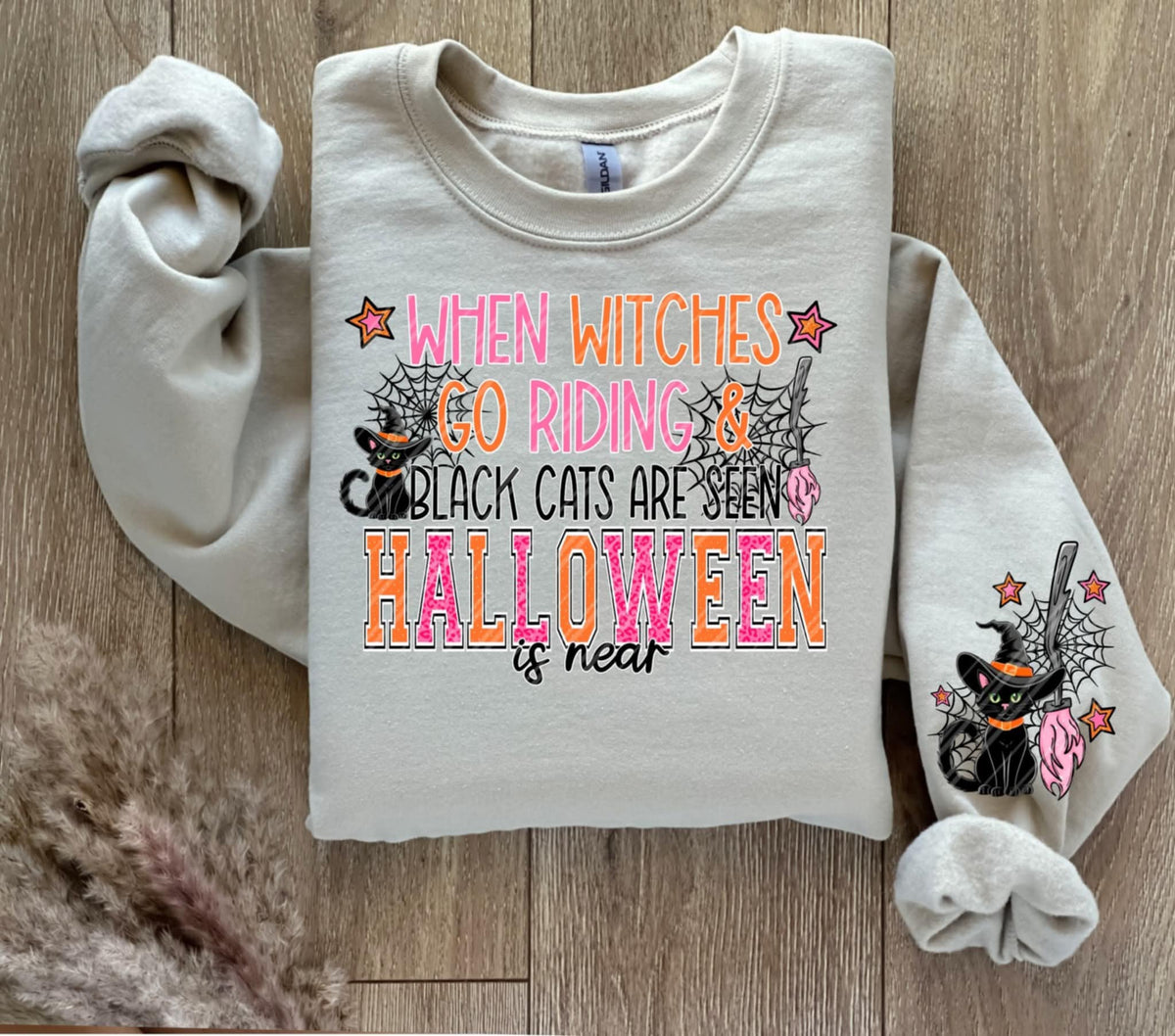 When witches go riding black cats are seen Halloween is near (Linda) 109344 DTF transfer