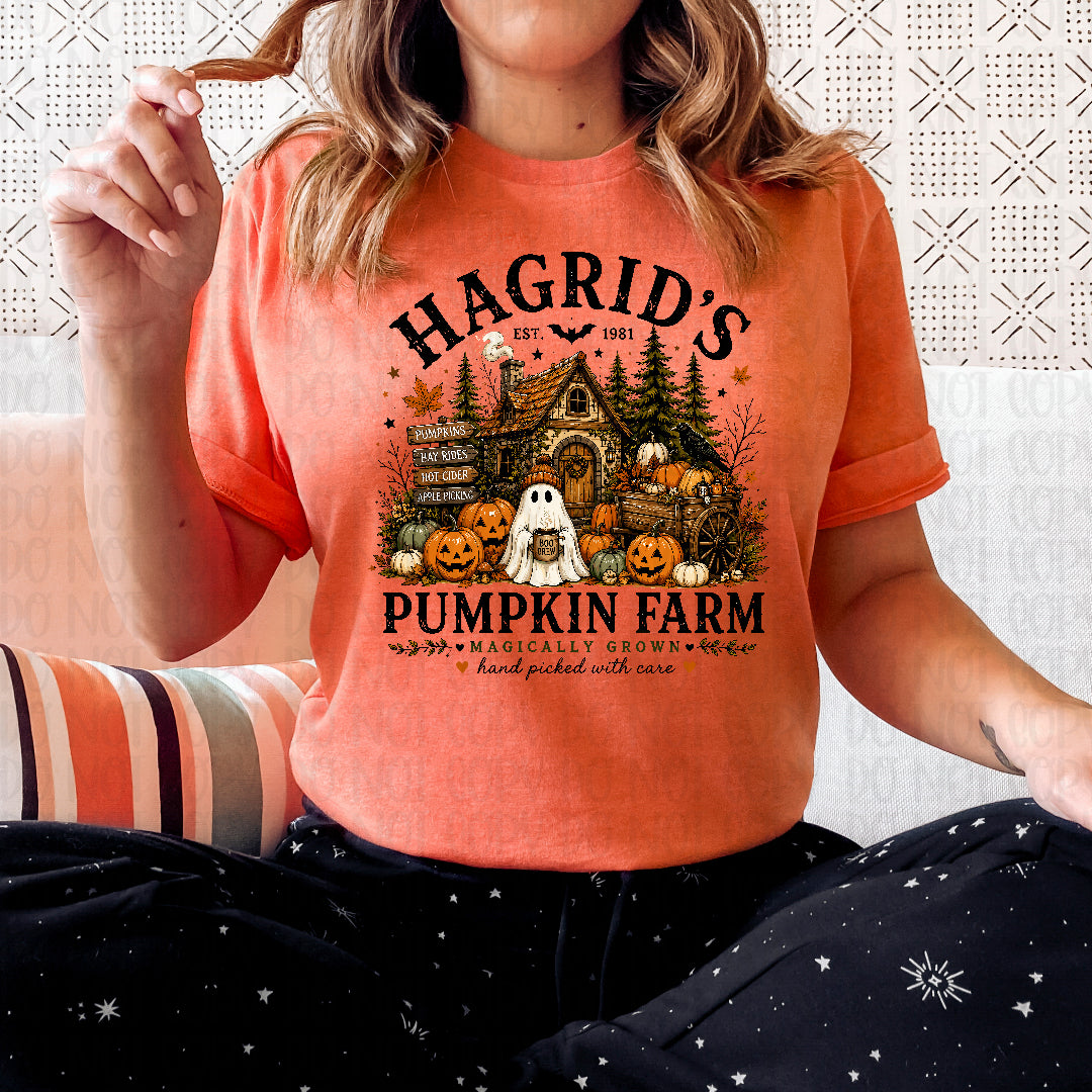 Pumpkin Farm Sunday Special DTF transfer