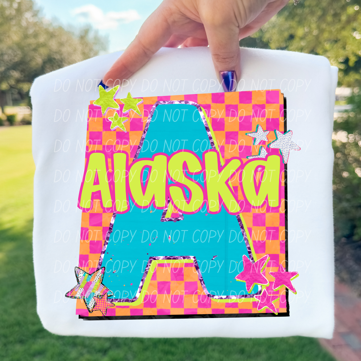 Alaska Rad State of Mind (City) DTF Transfer