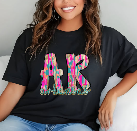 AR Arkansas Brushstrokes 69544 DTF transfer