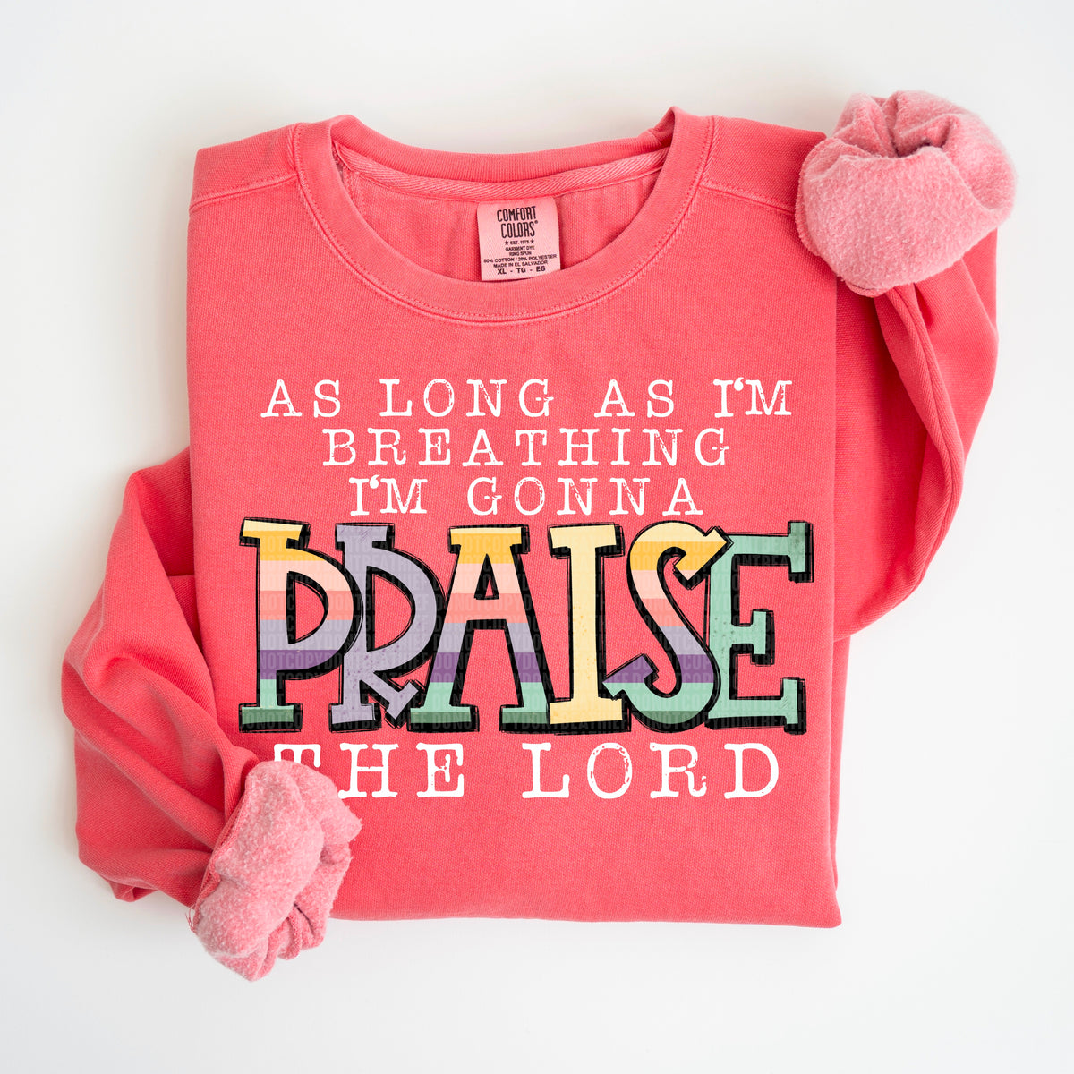 As Long As I Am Breathing I'm Gonna Praise The Lord *White* (SDD) DTF Transfer