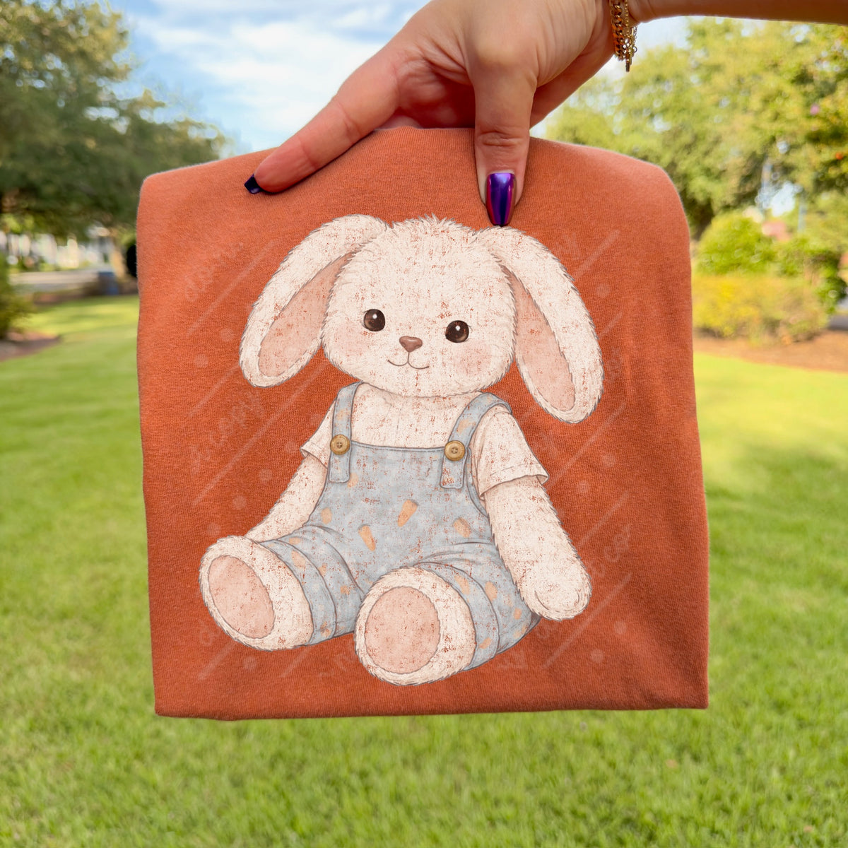 Vintage stuffed bunny (boy) DTF Transfer