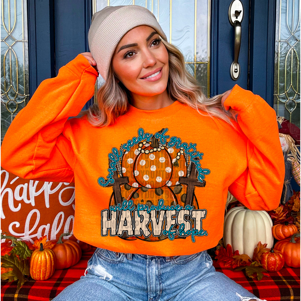 Small seeds of gratitude will produce a harvest of hope 103548 DTF transfer