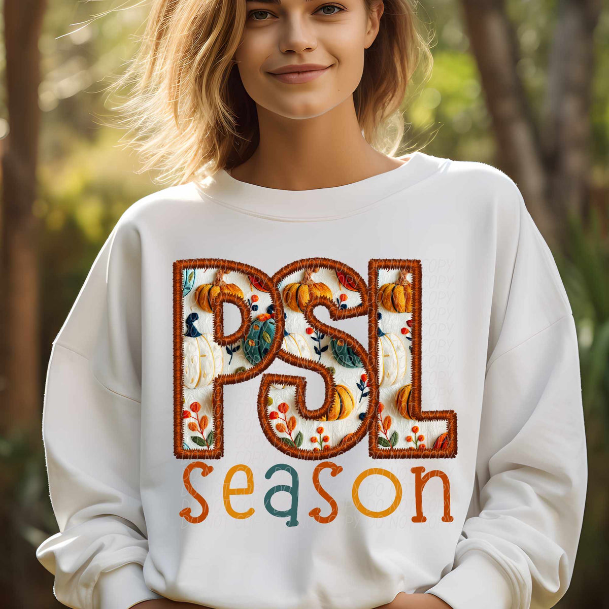 PSL season (CITY) 62331 DTF transfer
