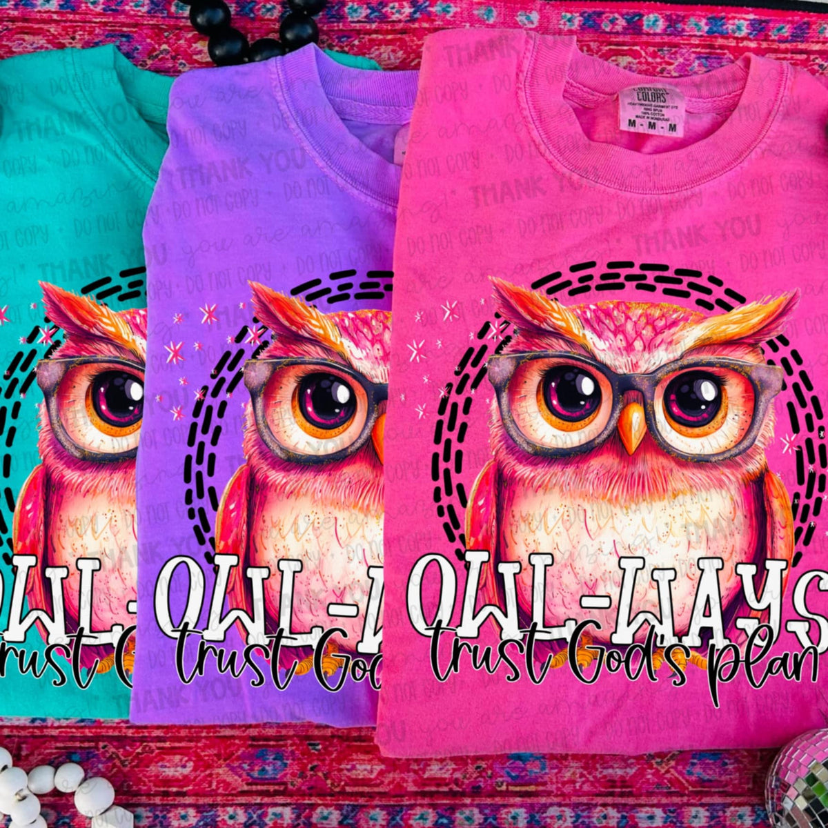 Owl-ways trust gods plan 107172 DTF transfer