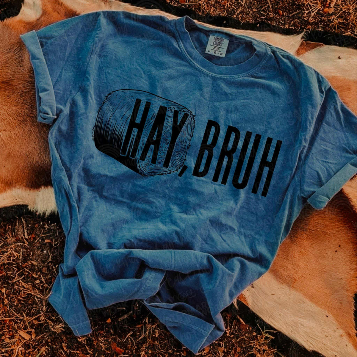 Hay Bruh (Sal) DTF transfer