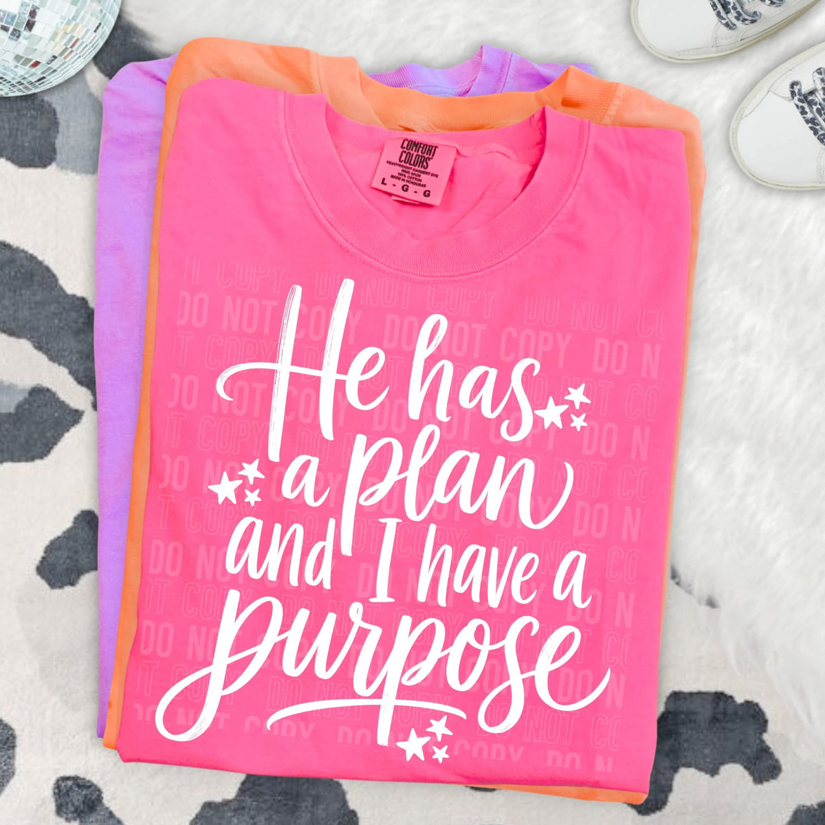 He has a plan and I have a purpose (SBB) DTF Transfer