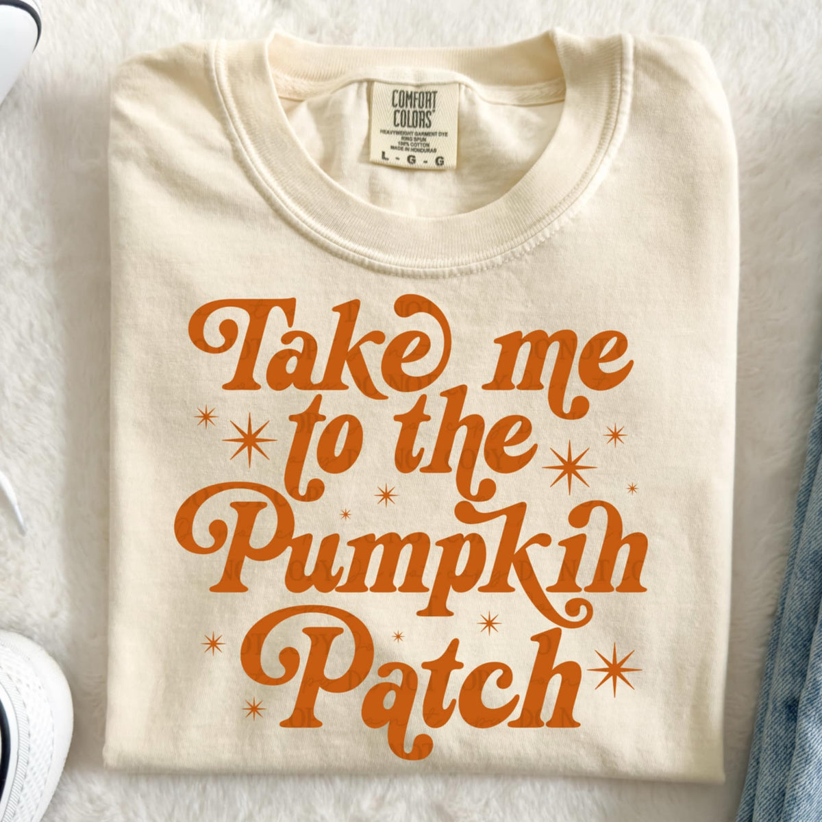 Take me to the pumpkin patch ORANGE (abd) DTF transfer