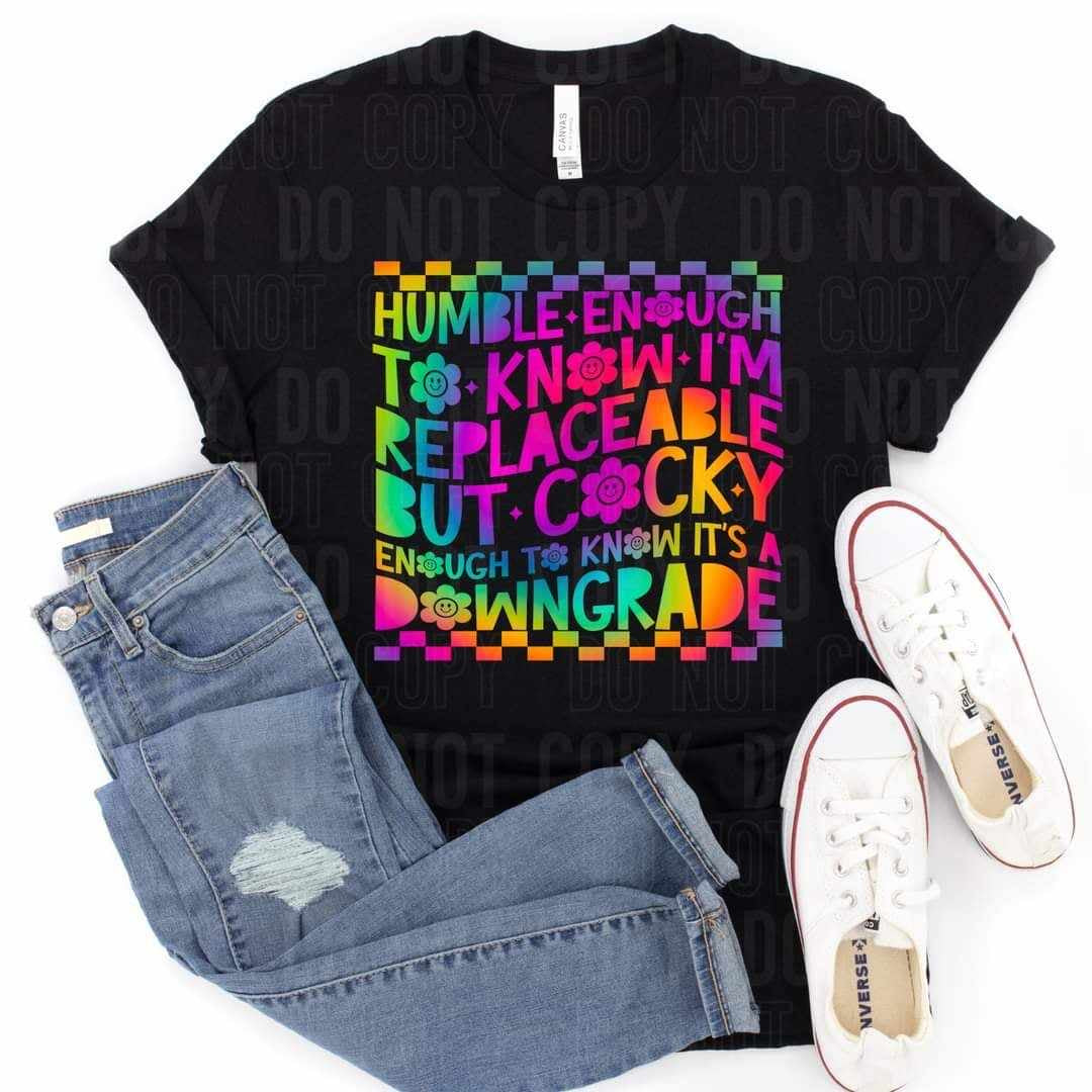 Humble enough to know I’m replaceable rainbow (SBB) 64686 DTF transfer