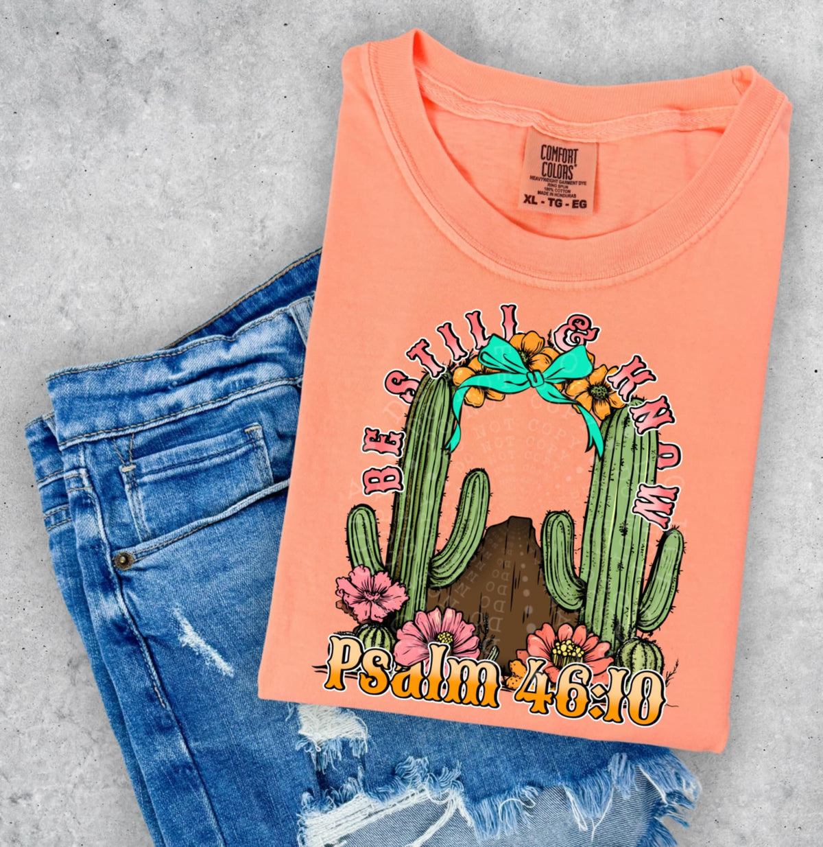 Be still & know cacti (C’s) 100471 DTF transfer