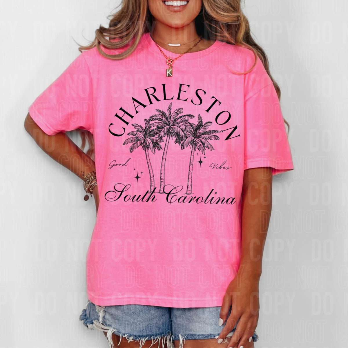 Charleston South Carolina (SBB) 106296 DTF transfer