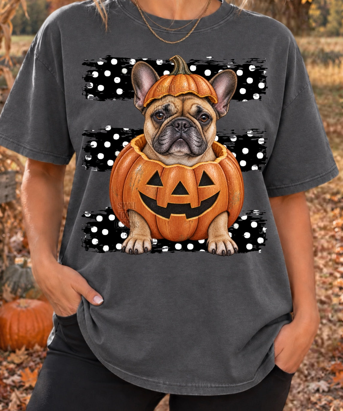 Tan Frenchie sitting in pumpkin with black and white polkadot stripes (STD) DTF Transfer