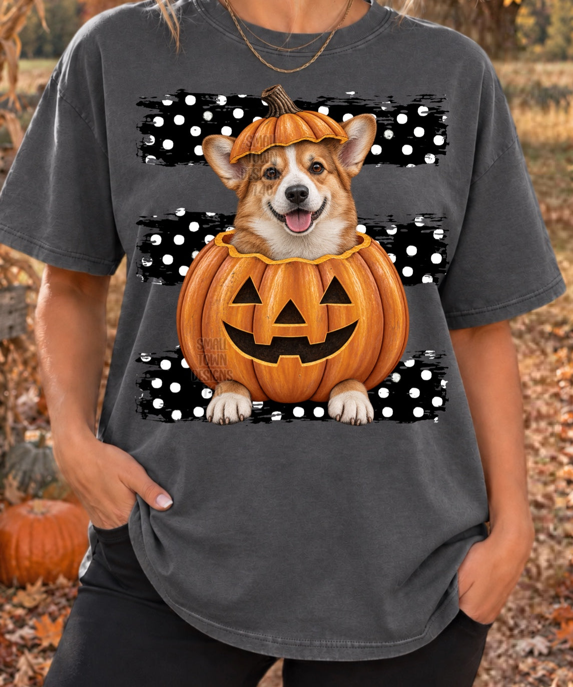 Corgi sitting in pumpkin with black and white polkadot stripes (STD) DTF Transfer