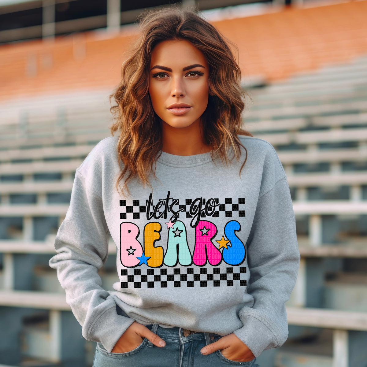 Let's Go Bears Checker 104626 DTF transfer