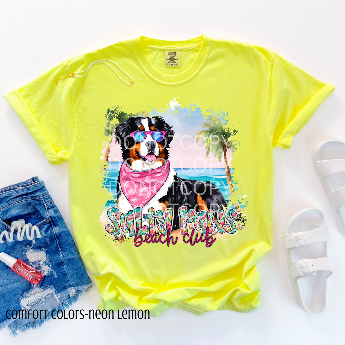 Bernese Mountain Dog Salty Paws Beach Club (CSG) 101083 DTF transfer