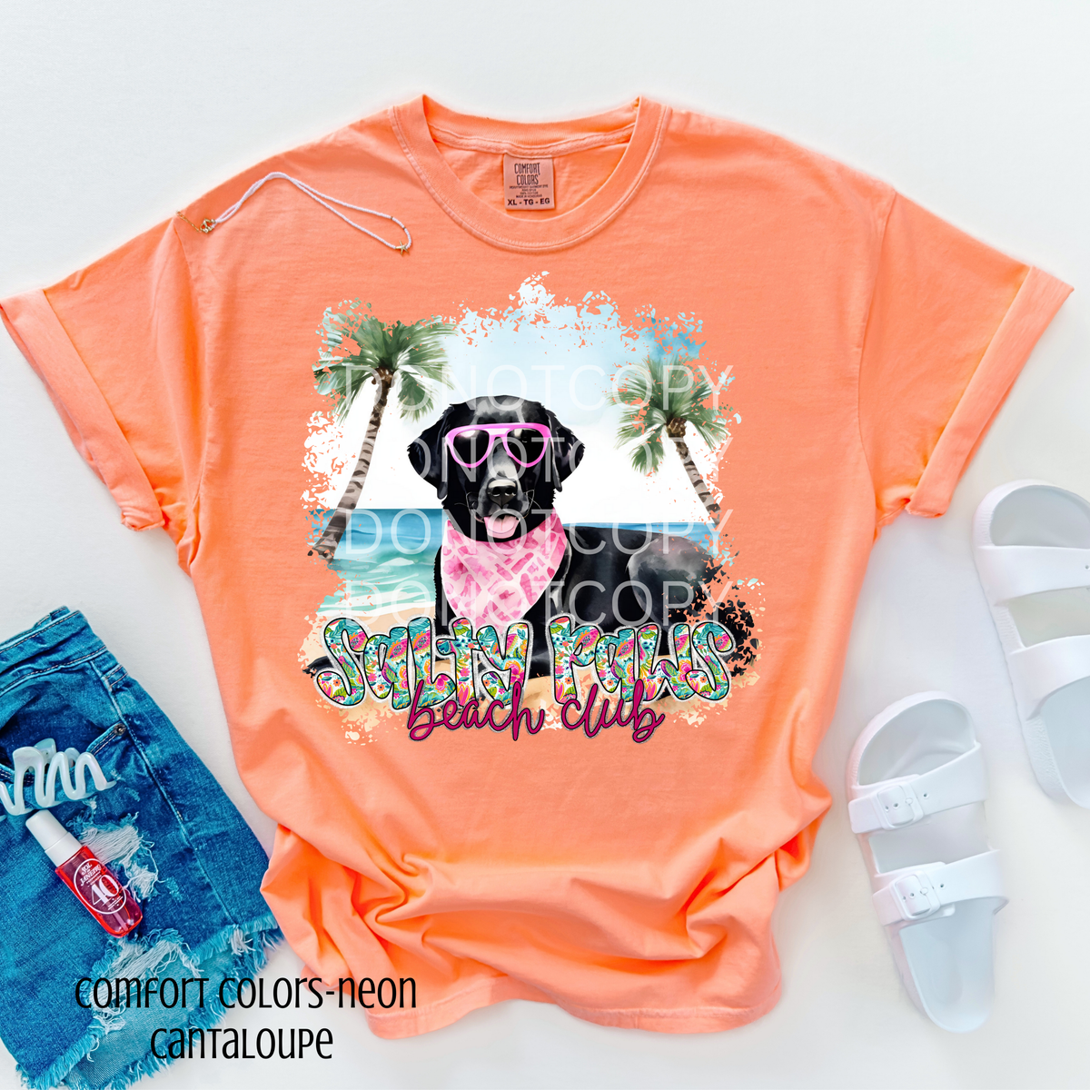 Black Lab Salty Paws Beach Club (CSG) 101076 DTF transfer